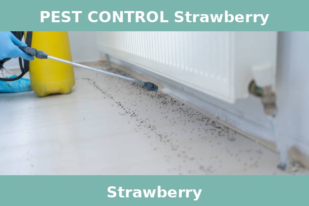 PEST CONTROL Strawberry